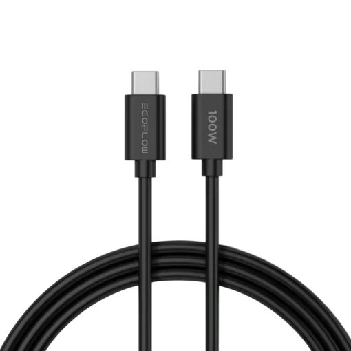 EcoFlow RAPID 65W GaN Charger 100W Cable