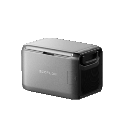 Compact portable mini fridge for outdoor, travel and camping use with ecoFlow branding.